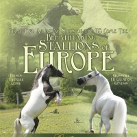 Breathtaking Stallions of Europe